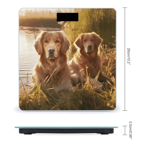 Báscula digital para baño con diseño de dos golden retrievers miniatura 2