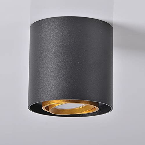 Potager šviestuvas Polux EGER 313973 lampe de croissance 10W GU10