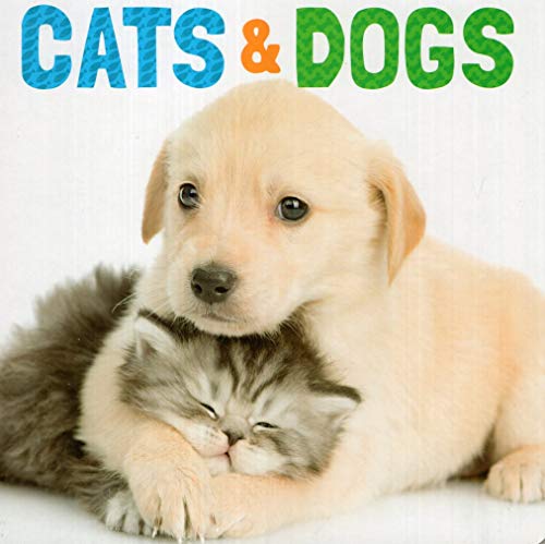 Cats and Dogs ( Animal Lovers ) 1684611903 Book Cover
