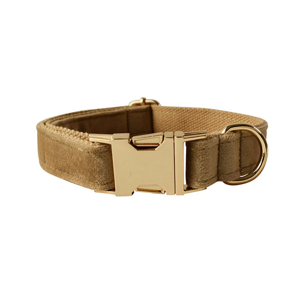 Ensemble Collier Et Laisse Pour Chien En Cuir Roulé Bleu