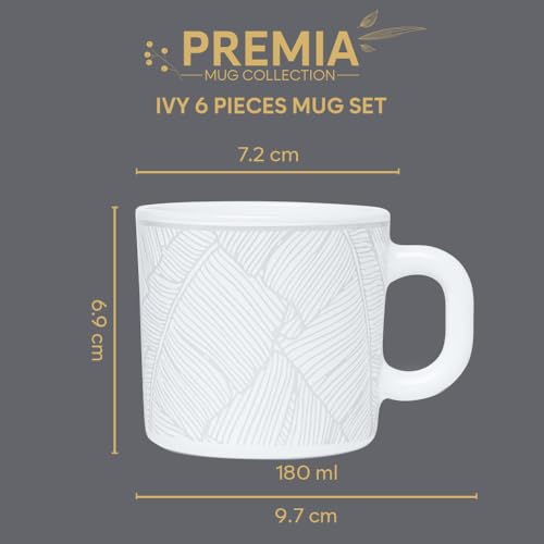 Image of Larah by BOROSIL 180ml x 6pc Opalware Ivy Tea /Coffee Mug Set, Microwave & Dishwasher Safe Embossed Design Crockery Set Ideal for Daily Use & Gifting