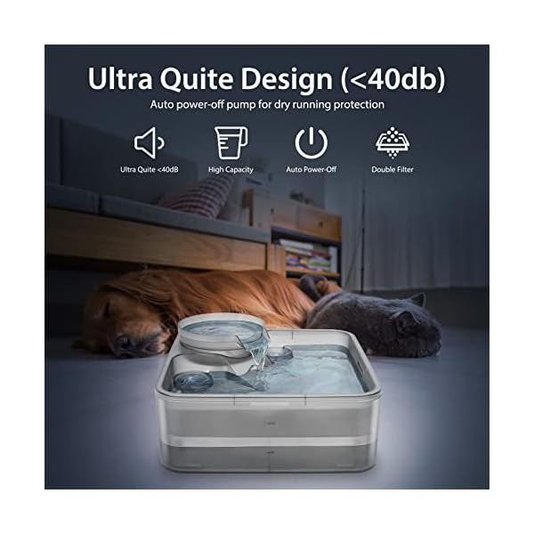 Pet Water Dispenser for Large Dogs