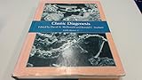 Clastic Diagenesis (Aapg Memoir)