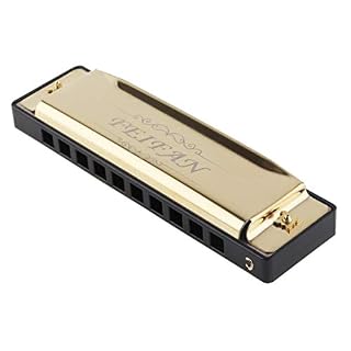 10 trous 20 tons or mat/noir Portable Harmonica Blues harpe bouche orgue Instrument de musique en acier inoxydable pour… - Les Beatles, Paul McCartney, John Lennon, RIngo Starr, George Harrison
