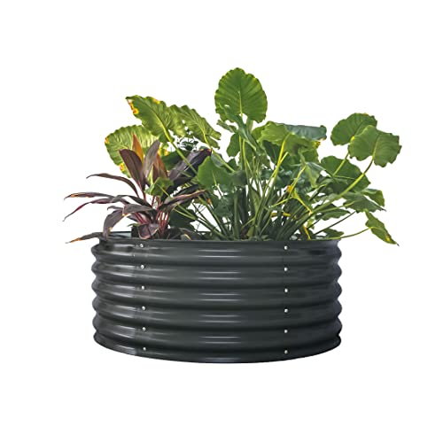 Vego garden 17