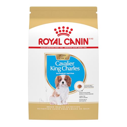 Royal Canin Breed Health Nutrition Cavalier King Charles Spaniel Puppy Dry Dog Food, 3 lb Bag
