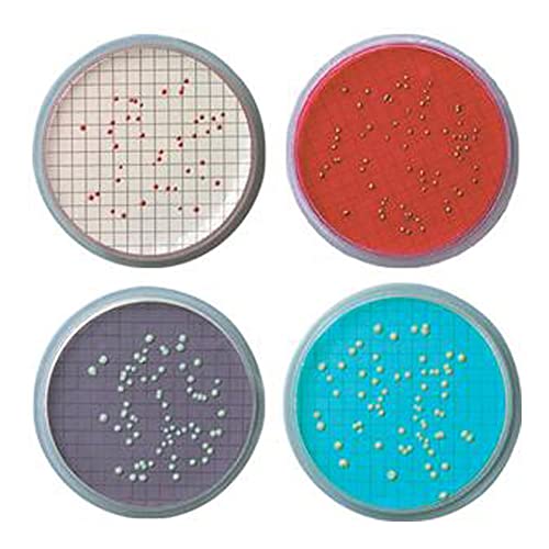 Image of A080H047W Membrane Filter Without Pad, Sterile, Grid, 47 mm Diameter (Pack of 1000)
