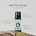 White Musk Premium Grade Fragrance Oil - 10ml - Scented Oil