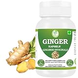 Morsan Healthcare Ginger (Zingiber officinale) Kapseln | Packung mit 60 x 500 mg. Vegetarische...