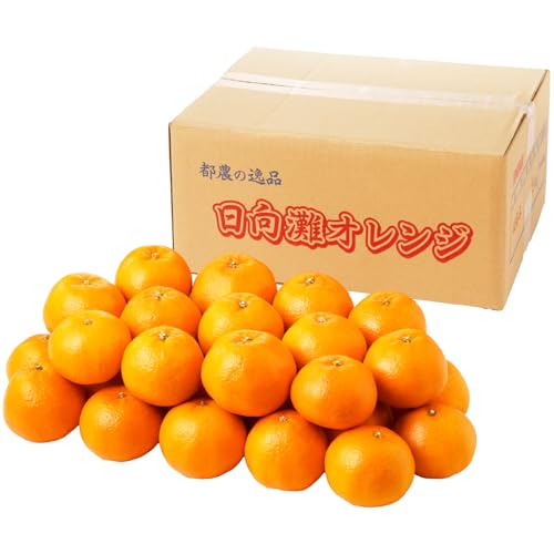 先行予約 はるみ 計5kg