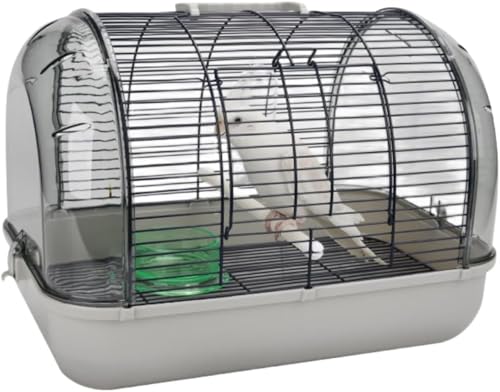  L[P[W  UP[W o o[hLA ̑ Oo p ^ t s ʉ@ ړ h ~܂ؕt ʋC  CR IE gݗĎ   o[hnEX ybgobO O  (41*2