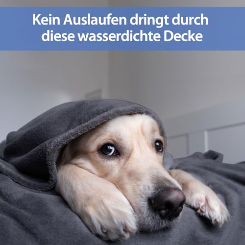 YISURE Wasserfeste Decke Liebesdecke 230x203cm für Paare,King Size Graue und lila Spritzdecke für Erwachsene Paare, Reversible Möbel- oder Bettmatratzenschoner