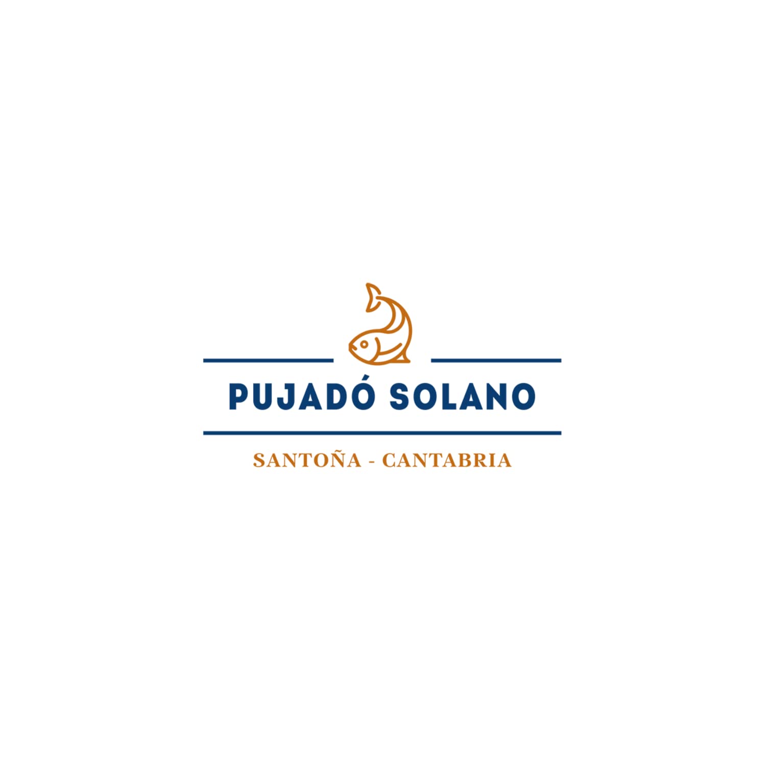 Pujado Solano Filetti di Acciughe del Cantabrico Olio di Oliva | Acciughe Mar Cantabrico Lavorate a Mano | Acciughe Cantabrico - 4 Scatolette x 50 Gr. Ognuna