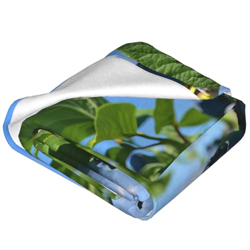 Couverture en flanelle douce PHAYAH lit et bureau 152x203cm