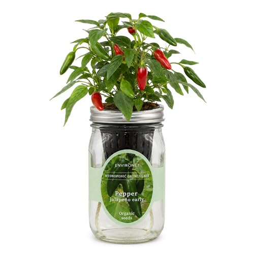 Environet Hydroponic Pepper Growing Kit, Self-Watering Mason Jar Vegetable Starter Kit Indoor, Grow Peppers from Organic Seeds (Jalapeño Early Pepper)
