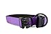 “Classic Comfort Dog Collar Premium Nylon Neoprene Padded Dog Collar for XLarge Sized Dog Comfortable Collar for Your Dog by Wagtime Club (Vibrant Purple) XL