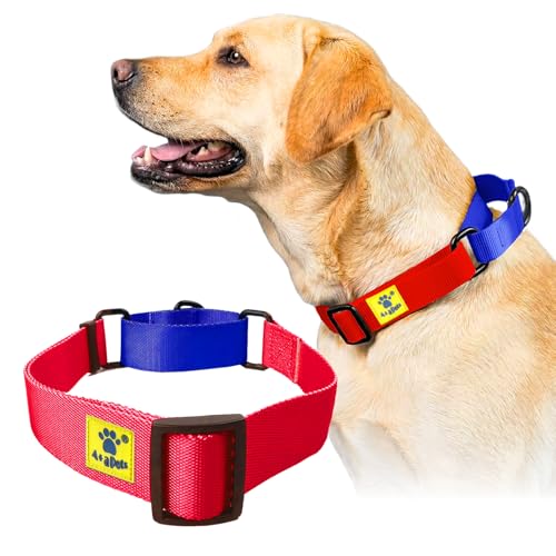 Image of A+a Pets Martingale Dog Collar | No Pull Design, No Neck Strain, No Choke Design | for Large & Medium Dogs | Rust Free, Waterproof Nylon Training Collar (Red & Blue), 20 x 2.5 cm