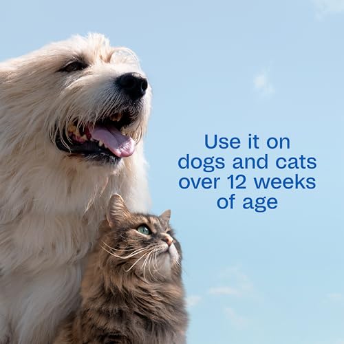 Image of ADAMS Plus Pyrethrin Flea Dip For Dogs and Cats, Kills & Repels Ticks, Lice, Gnats, Mosquitoes, Fleas & Flies, For dogs, cats, puppies, and kittens, 4 Fl oz