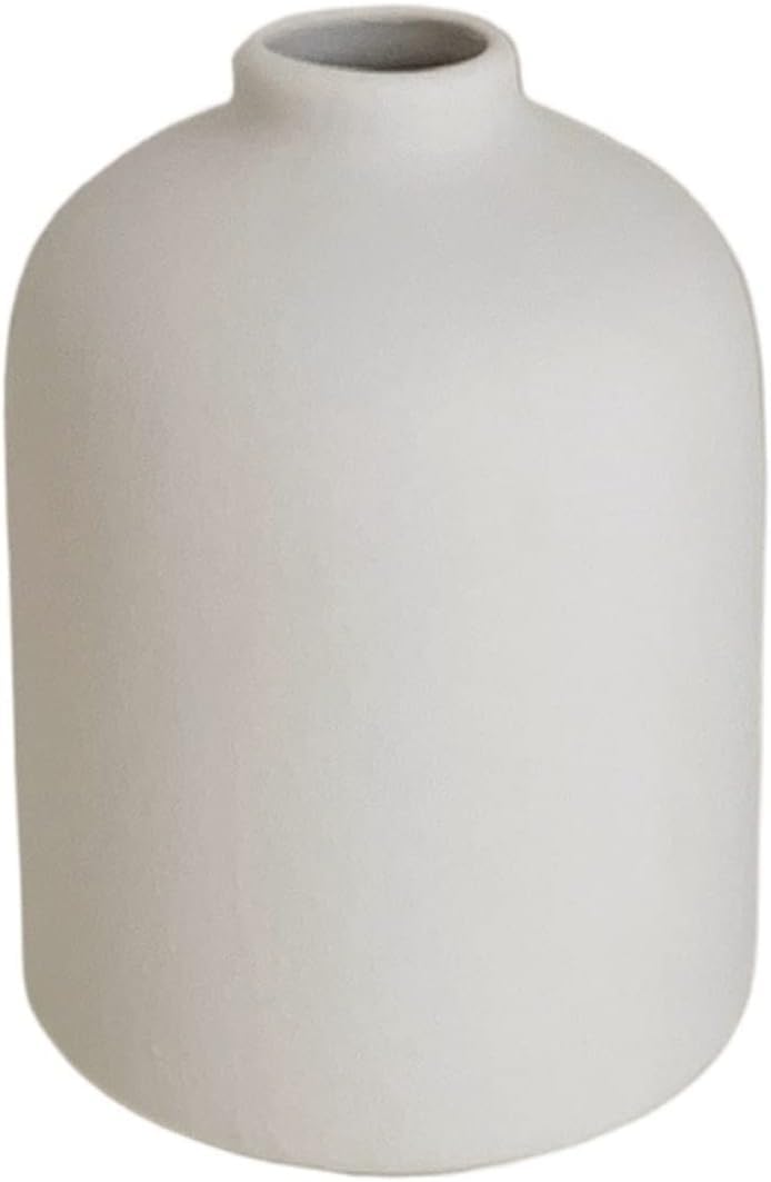 Vase en céramique hydroponique pour chambre | Finition artisanale premium