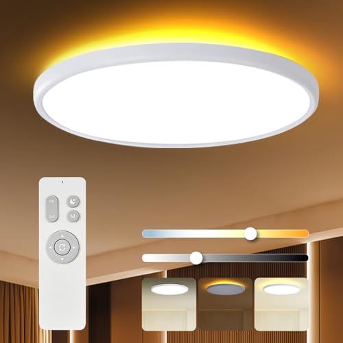 TALOYA 18 Inch Dimmable Flush Mount Ceiling Light with Remote