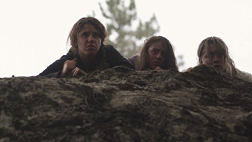 Amazon バイオレンス フィーバー Dvd 映画