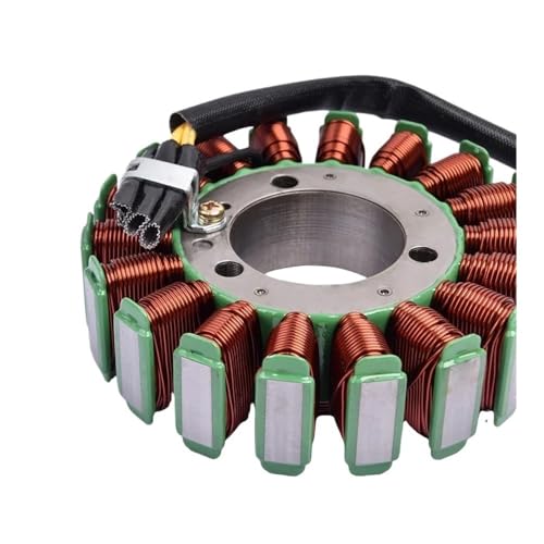 Stator de démarreur électrique évite les pannes sur LT V800 - 5