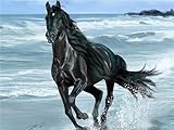 Photo Gallery diy diamond painting natale, diamond painting kit completo painting diamond 5d painting by numbers cavallo mare, pittura diamante crystal art ricamo a punto croce, per decorazioni casa 20x30cm hs-3571 Photo Gallery diy diamond painting natale, diamond painting kit completo painting diamond 5d painting by numbers cavallo mare, pittura diamante crystal art ricamo a punto croce, per decorazioni casa 20x30cm hs-3571