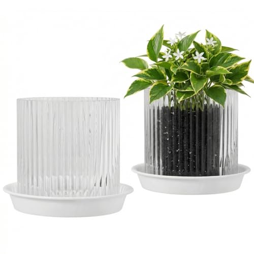 Hestremo Clear Glass Plant Pots Indoor 5 inch Clear Orchid Pots with Drainage Holes & Trays Small Glass Planter for Indoor Plants Herbs Succulent Flower Planter with Ribbed Texture Set of 2