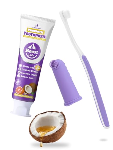 VVHOMIFE Cat Toothbrush & Toothpaste Kit Soft & Finger Brushes 2.5oz