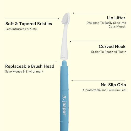 Image of Jasper Microbrush Vet Approved Cat Toothbrush, Soft-Bristled Toothbrush Kit for Felines & Small Dogs, Non-Slip Handle with 2 Replaceable Tooth Brush Heads, Use with Cat Toothpaste, 2-Pack, Gray Mist