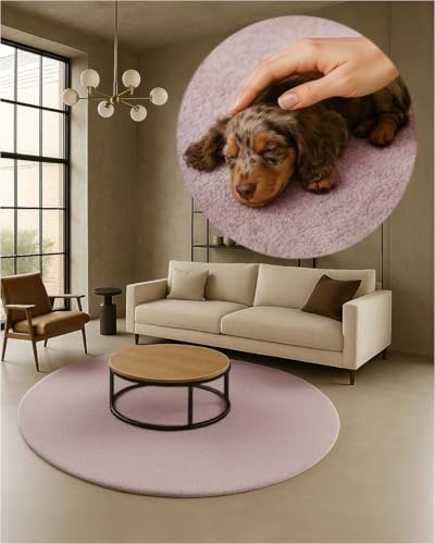 TEXMAXX Weicher Kurzflor Teppich Wohnzimmer mit rutschhemmender Rückseite (120 x 120 cm Rund) - Modern für Flur, Esszimmer und als Schlafzimmer Teppich in Pastel-Rosa - Waschbar bis 30 Grad