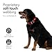 EzyDog Double Up Halsband, Schwarz, Medium (29cm-40cm)