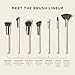 HALEYS Beauty Angled Contour Makeup Brush for Setting Powder, Cream, Foundation, Blush, Highlighter, Concealer, and Bronzer, Makeup Bag Essentials, Soft & Flexible Bristles, Vegan & Cruelty Free