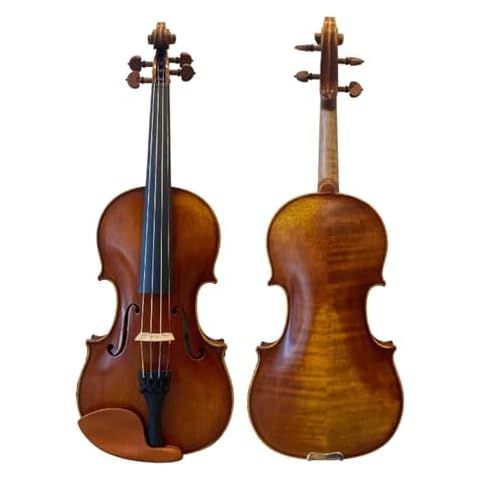 D Z Strad Violin Model 300 with Case Cover