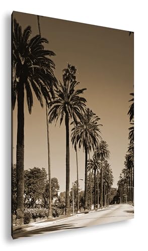 Toile allée des palmiers tropicaux deyoli 90x60 cm tableau sépia sur cadre bois véritable