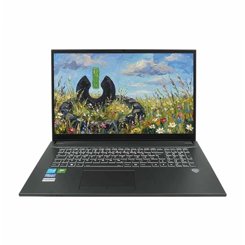 JodaBook C17 Pure | 17,3" FHD | Core i5 1235U | RAM: 16GB | SSD: 500GB | RGB beleuchtete Tastatur | DVD-Brenner | Windows 11 Pro | Office 2024 Pro | Rucksack