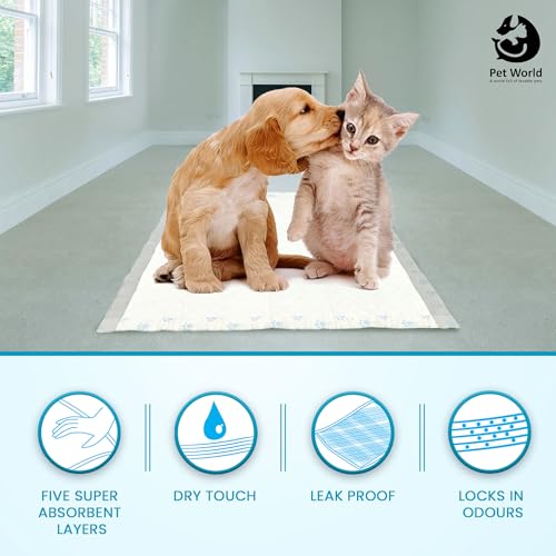 Image of Pet World Training Pads, with Odor Lock Technology & Super Absorbent Pee Pads, Leak-Proof Dog Potty Training Pads for Puppies, Dogs,Cats & Rabbits (60 X 60 cm) (30 Pcs)