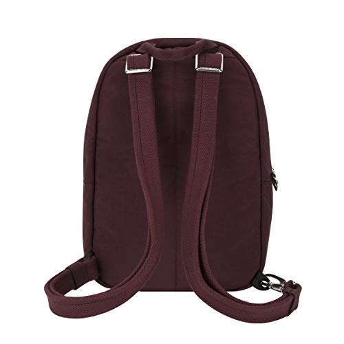 Image of Travelon Anti-Theft Essentials Small Backpack