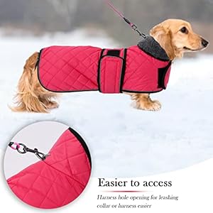 Warmthermalquilteddachshundcoatdogwintercoatwithwarmfleeceliningoutdoordogapparelwithadjustablebandsformediumlargedogpinks Urban Country Home Decor Warm thermal quilted dachshund coat dog winter coat with warm fleece lining outdoor dog apparel with adjustable bands for medium large dog pink s urban country home decor