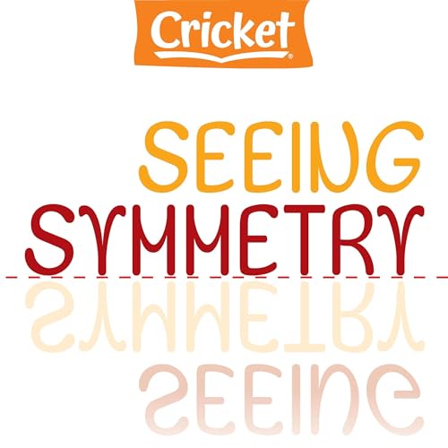 Seeing Symmetry by Amy Tao Tao episode artwork