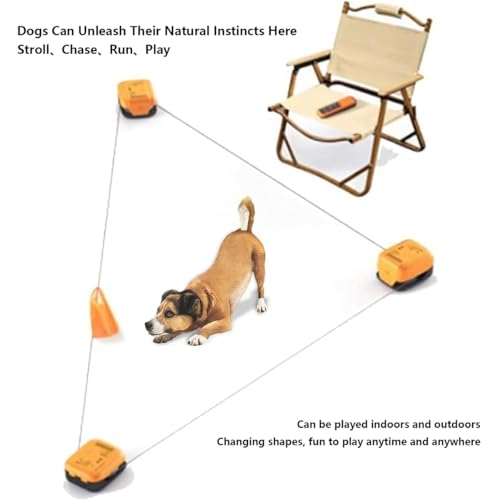 Machine de cours de leurre pour chiens et jouets interactifs chiot - 6