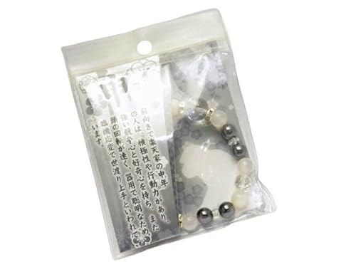 \xuXbg \N (zCgIjLX)  uXbg VR  p[Xg[/CyAI[  킢 IV  v[g Mtg 蕨