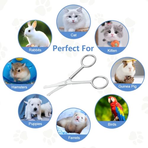 Adiwo Hundehaarschere Fellschere,10.5cm Aus Edelstahl Fellschere Pfotenschere Abgerundete Schere Hund Pfotenschere für Hunde Haustierschere Schere Hundehaare Schneiden für eine perfekte Fellpflege