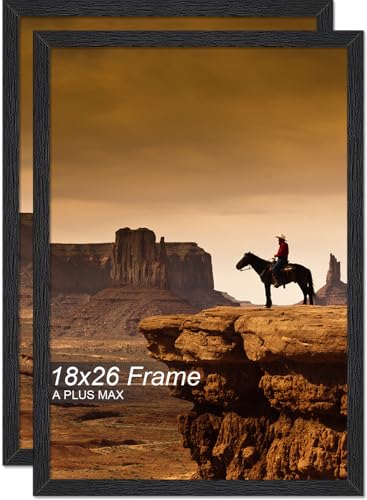 A PLUS MAX 18x26 Picture Frame Set of 2 Black Light Weight Wall Mount