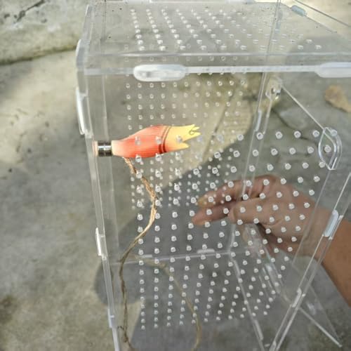 Kelisdi Piattaforma Sicura A Forma Di Fungo Per Lucertole E Ragni Che Saltano, Habitat Naturali Per Migliorare I Ragni Che Saltano - 9