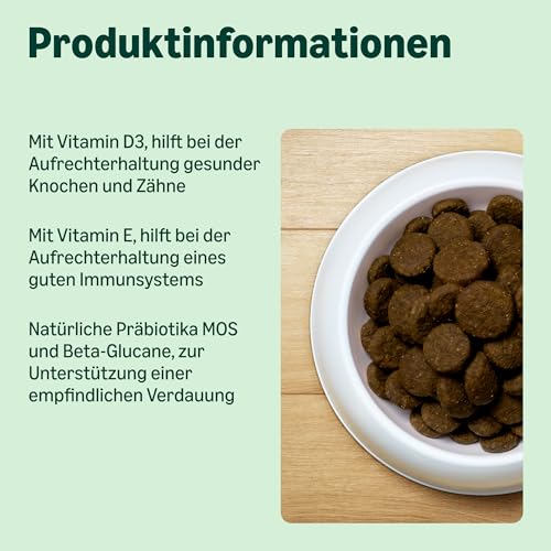 by Amazon Komplett Trockenfutter für ausgewachsene (Adult) Hunde, Lachs und Reis, 5 kg (1er Pack)(Zuvor eine Marke von Lifelong, gleiches Produkt)