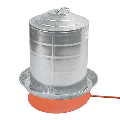 Best Poultry Water Bucket Heater 2021 Where to Buy?