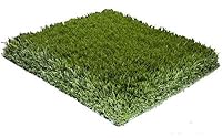 Algopix Similar Product 2 - Porch Potty Artificial Grass for Dogs 