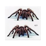 MOTIV: Vogelspinne LIEFERUMFANG: 2X3D AUFKLEBER - VOGELSPINNE (1X LINKS, 1XRECHTS)