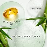 Pantene Pro-V Grow Strong Shampoo mit Biotin & Proteinverstärker 1000ml Pumpespender. Pro-V Miracles Shampoo Hilft, Haarverlust, durch Haarbruch zu Reduzieren, Stärker Wachsendes Haar. Trockenes Haar – Bild 4